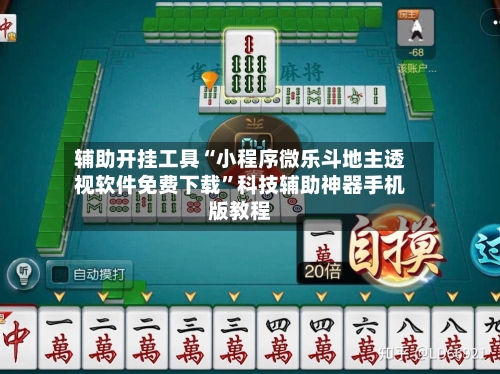 辅助开挂工具“小程序微乐斗地主透视软件免费下载”科技辅助神器手机版教程-第2张图片