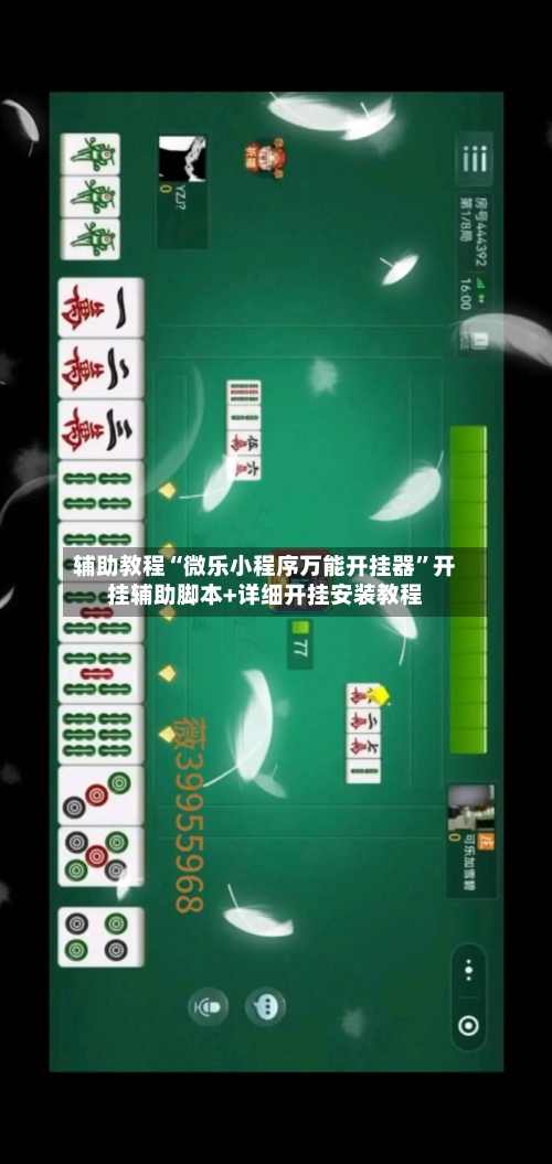 辅助教程“微乐小程序万能开挂器	”开挂辅助脚本+详细开挂安装教程-第3张图片