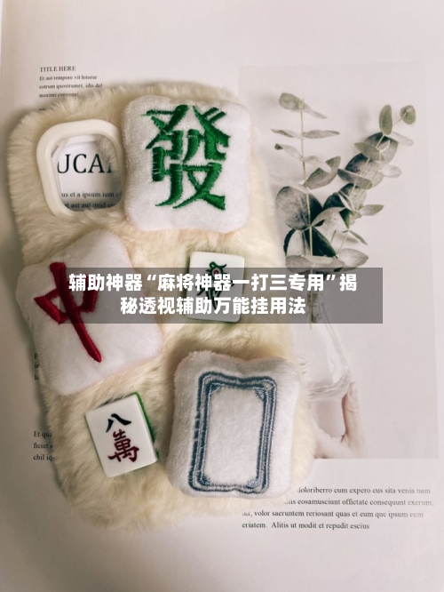 辅助神器“麻将神器一打三专用”揭秘透视辅助万能挂用法-第3张图片