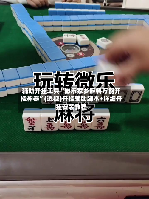 辅助开挂工具“微乐家乡麻将万能开挂神器”(透视)开挂辅助脚本+详细开挂安装教程-第2张图片