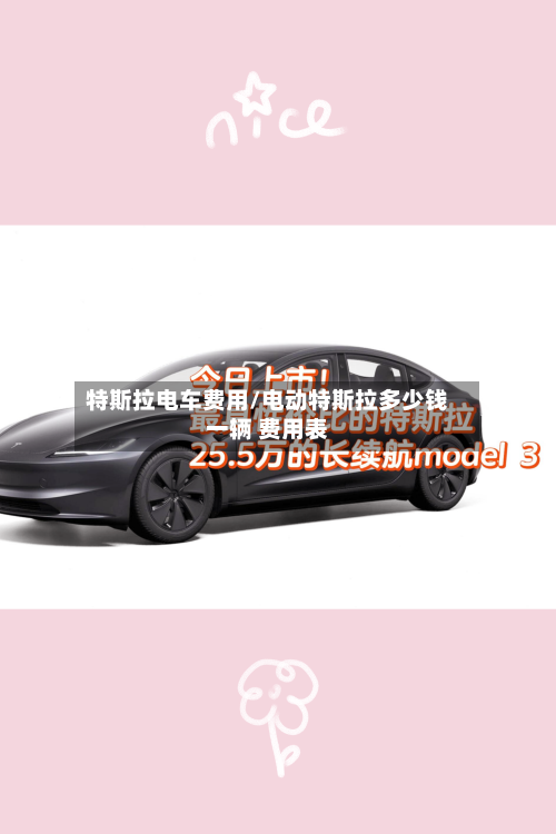 特斯拉电车费用/电动特斯拉多少钱一辆 费用表-第1张图片
