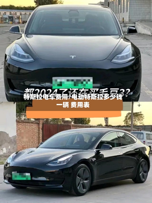 特斯拉电车费用/电动特斯拉多少钱一辆 费用表-第2张图片
