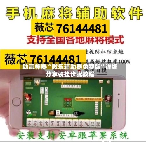 助赢神器“微乐辅助器免费版”详细分享装挂步骤教程-第2张图片