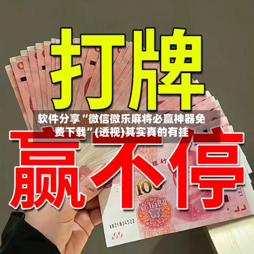 软件分享“微信微乐麻将必赢神器免费下载”(透视)其实真的有挂-第2张图片