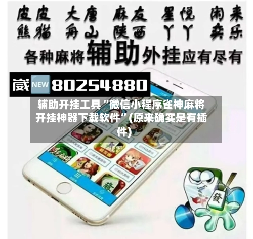 辅助开挂工具“微信小程序雀神麻将开挂神器下载软件”(原来确实是有插件)