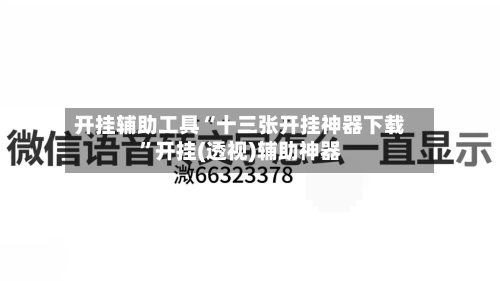 开挂辅助工具“十三张开挂神器下载	”开挂(透视)辅助神器-第2张图片