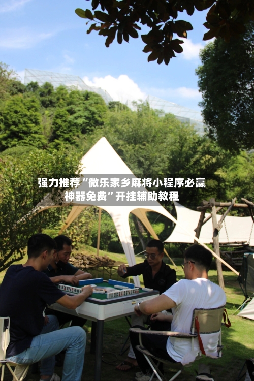 强力推荐“微乐家乡麻将小程序必赢神器免费”开挂辅助教程-第2张图片