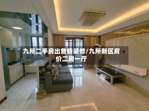 九所二手房出售精装修/九所新区房价二房一厅-第2张图片