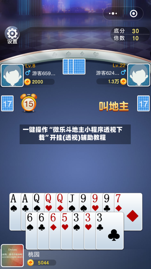 一键操作“微乐斗地主小程序透视下载”开挂(透视)辅助教程-第3张图片