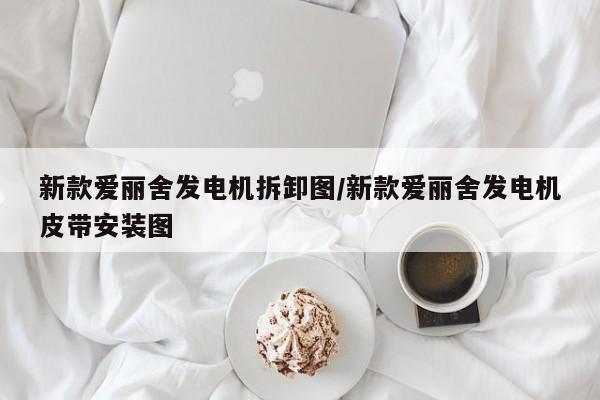 新款爱丽舍发电机拆卸图/新款爱丽舍发电机皮带安装图
