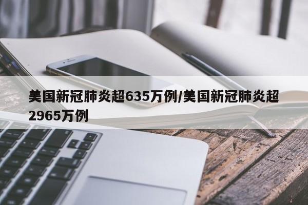 美国新冠肺炎超635万例/美国新冠肺炎超2965万例